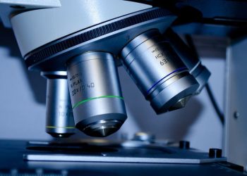 Descubierto un nuevo sistema para transportar fármacos a las células