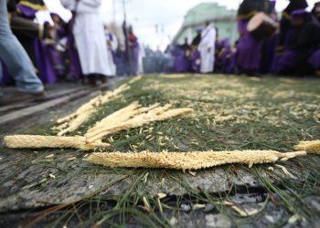 Más de 2 mil voluntarios elaboran alfombra en avenida La Reforma