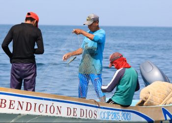 Alianza interinstitucional impulsa conservación de especies marinas en litoral Pacífico