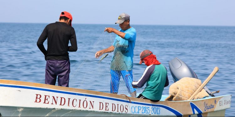 Alianza interinstitucional impulsa conservación de especies marinas en litoral Pacífico