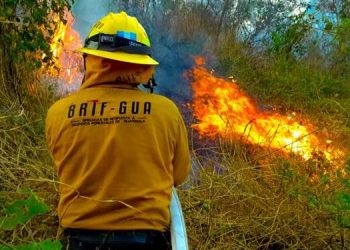 Brindan detalles del protocolo para la temporada de incendios forestales 2021-2022