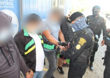 Capturan a presuntos coyotes en Izabal