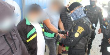 Capturan a presuntos coyotes en Izabal