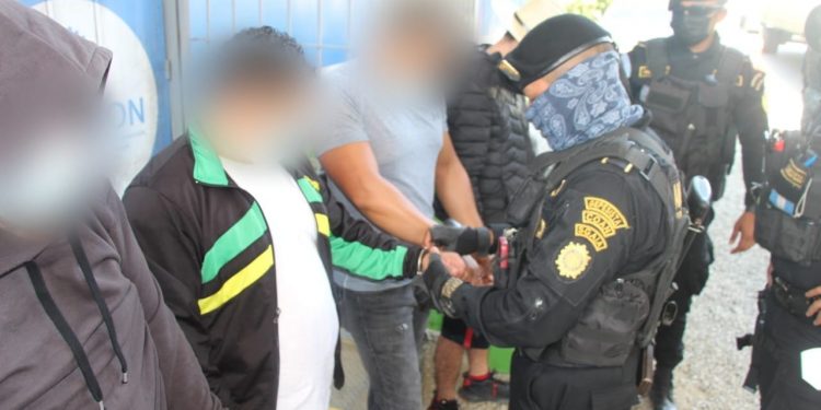 Capturan a presuntos coyotes en Izabal