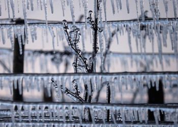 Francia vive la noche más fría en abril desde 1947