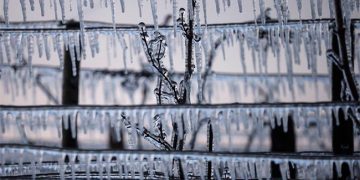 Francia vive la noche más fría en abril desde 1947