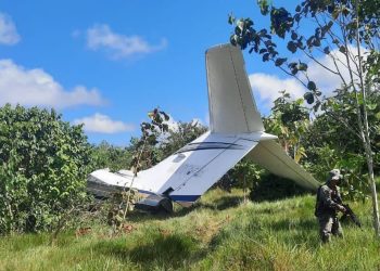 Operativos permiten localizar áreas donde se pretendía rehabilitar pistas clandestinas