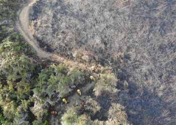 Autoridades gestionan apoyo para familias afectadas por incendio forestal en Huité