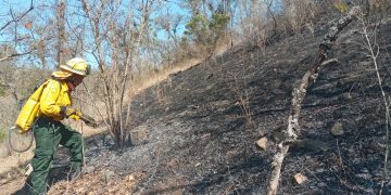 Conred reporta 6 mil hectáreas consumidas por incendios forestales