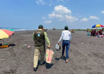 Recolectan más de 40 toneladas de desechos en tres playas del país