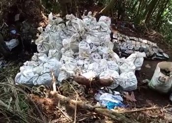 Los ilícitos detectados en uno de los operativos.