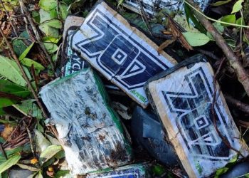 Paquetes de posible droga localizados cerca de la aeronave accidentada.