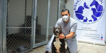 Hacen llamado a garantizar el bienestar animal durante asueto de Semana Santa