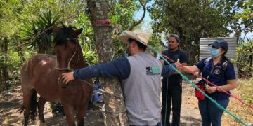 Preparan simulacro para el 6 de mayo para salvaguardar a los animales en desastres naturales