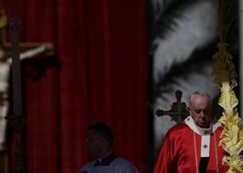 Papa lamenta la “locura de la guerra” en Domingo de Ramos multitudinario