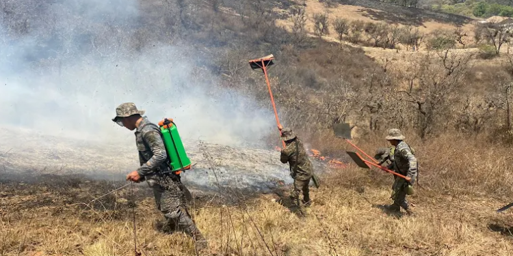 Soldados brindan apoyo en Huehuetenango por incendio forestal