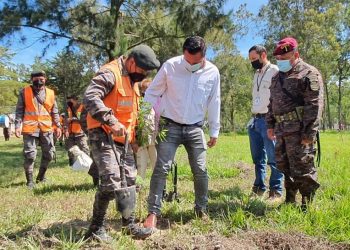 Huehuetenango reafirma compromiso con el manejo sostenible de los recursos forestales