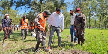Huehuetenango reafirma compromiso con el manejo sostenible de los recursos forestales