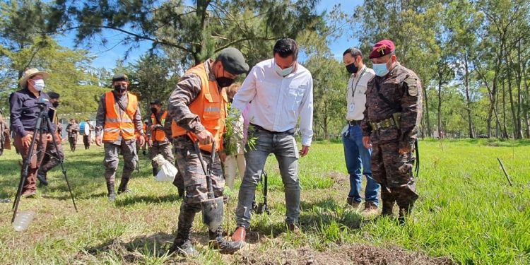 Huehuetenango reafirma compromiso con el manejo sostenible de los recursos forestales