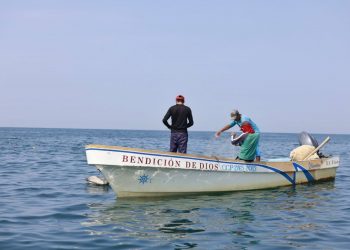 Pesca en playa Las Lisas / Foto: MARN