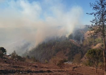 Inab llama a denunciar a quienes provoquen incendios forestales
