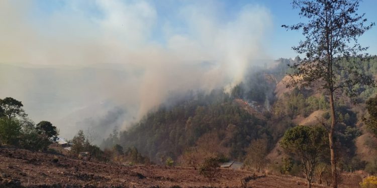 Inab llama a denunciar a quienes provoquen incendios forestales
