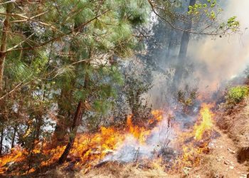 Continúa combate de incendios forestales en Totonicapán