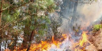 Continúa combate de incendios forestales en Totonicapán