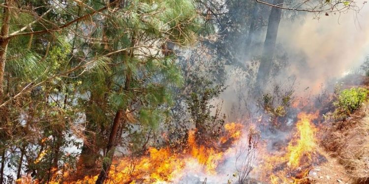 Continúa combate de incendios forestales en Totonicapán