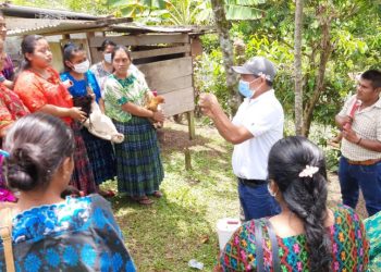 Líderes comunitarios de Alta Verapaz se convierten en promotores pecuarios