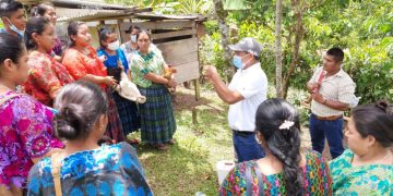 Líderes comunitarios de Alta Verapaz se convierten en promotores pecuarios