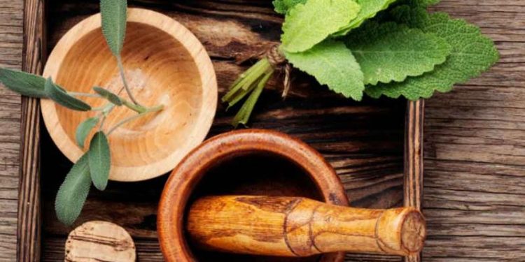 Ministerio de Salud incluye medicina tradicional y alternativa para acelerar recuperación de pacientes con COVID-19