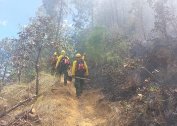 Los cuerpos de socorro mantienen acciones para atender los incendios forestales.