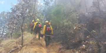 Los cuerpos de socorro mantienen acciones para atender los incendios forestales.