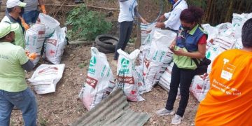 Recolectan más de 2 mil libras de desechos sólidos en ciudad de Guatemala