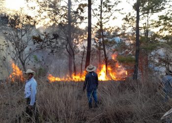 Incendios forestales