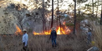 Incendios forestales