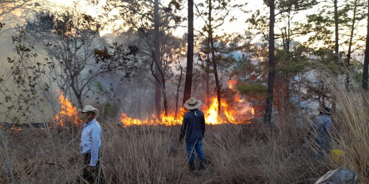 Incendios forestales