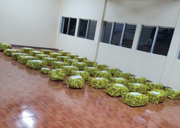 Paquetes de cocaína incautados.