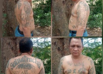 Detienen a cabecilla de mara “Salvatrucha” en Petén