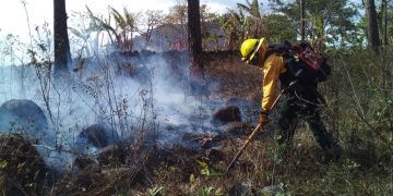 Conred control de incendios forestales
