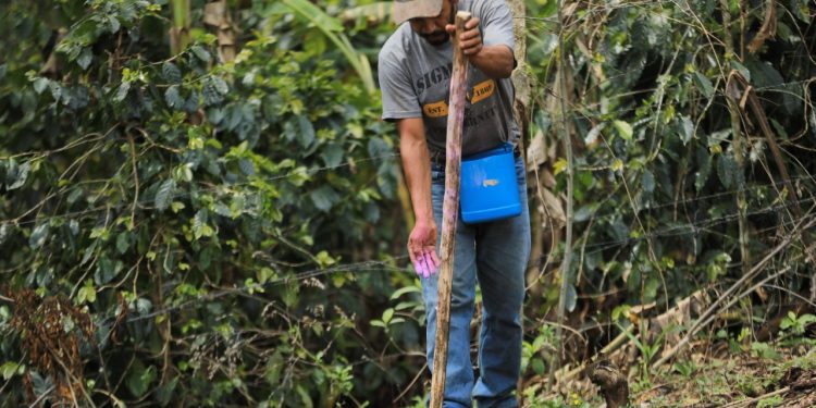 Lanzan en Santa Rosa programa Estipendios para la Recuperación de Suelos