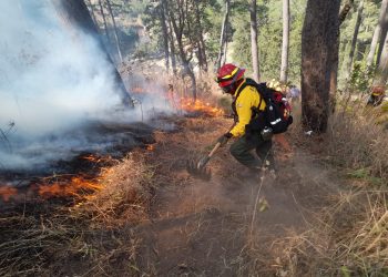 Guatemala conmemora el Día Internacional del Bombero Forestal