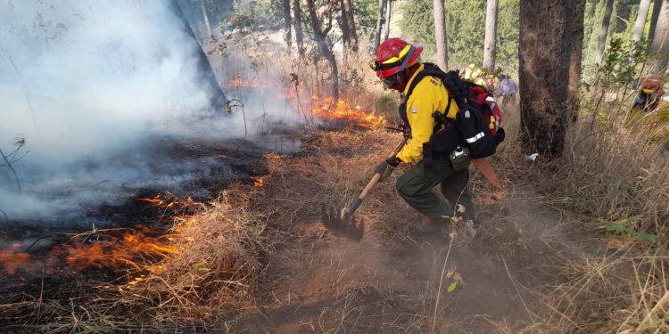 Guatemala conmemora el Día Internacional del Bombero Forestal