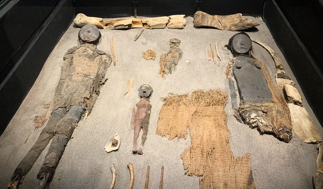 Las momias más antiguas del mundo buscan nuevo hogar