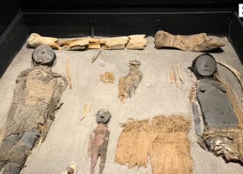 Las momias más antiguas del mundo buscan nuevo hogar