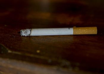 FUMAR DAÑA LA SALUY Y EL MEDIO AMBIENTE, SEÑALA LA OMS