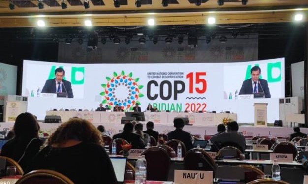 Guatemala es representada a través de un equipo técnico .