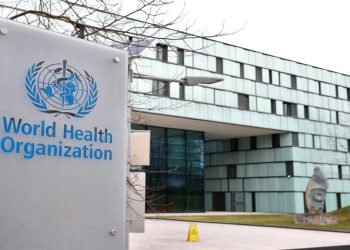 OMS no cree que la viruela del mono se convierta en otra pandemia