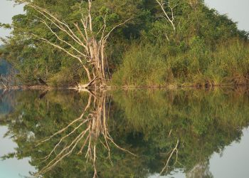 Nuestros recursos naturales son vitales